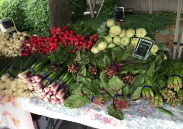 Edmonds Museum Garden Market
