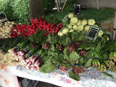 Edmonds Museum Garden Market