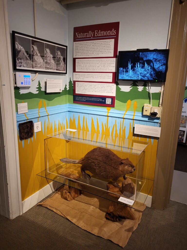 Marsh Exhibit